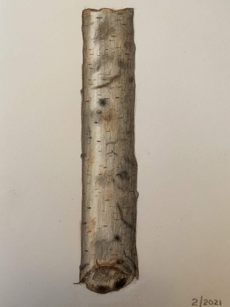 branch-2-2