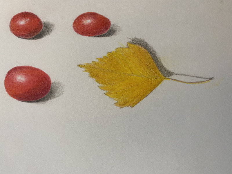 tomatoes-friend