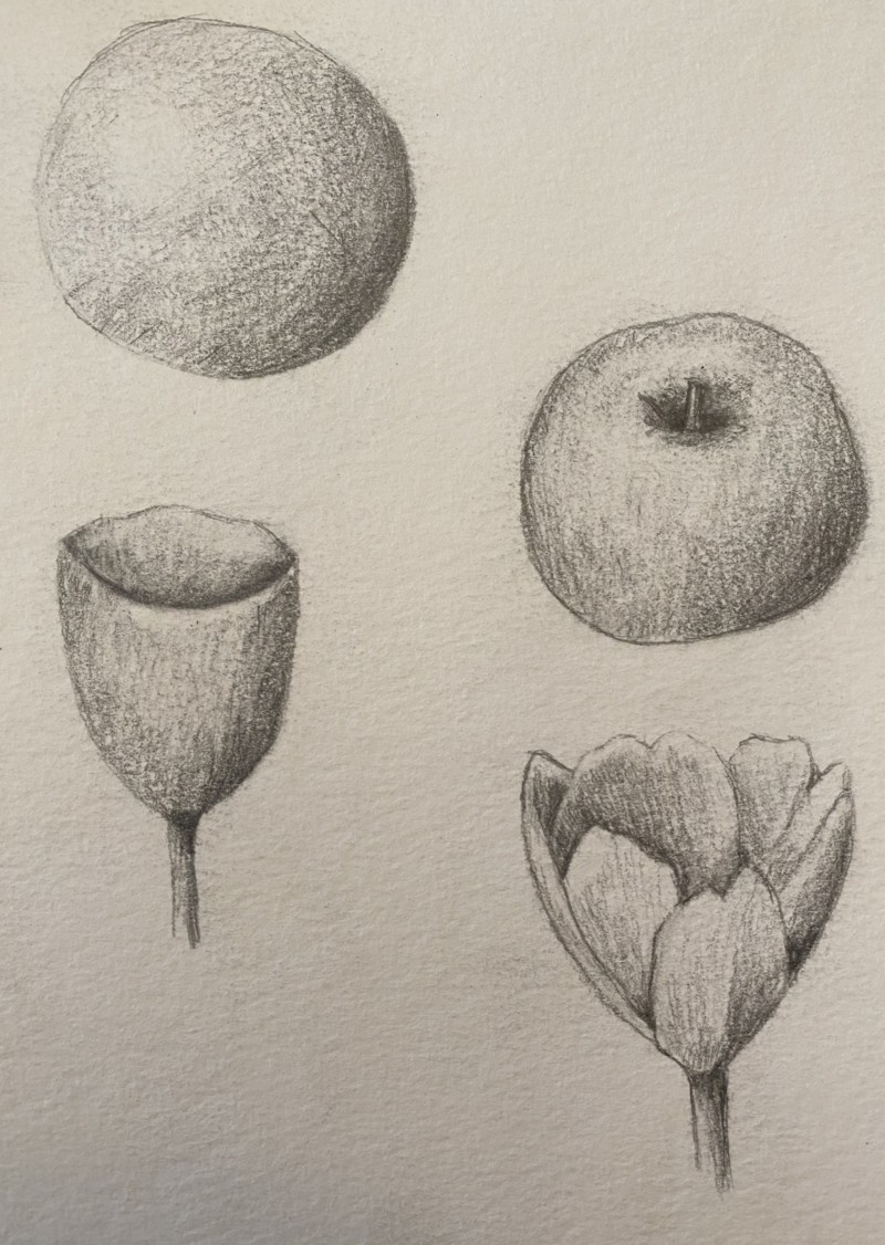 basic-shapes