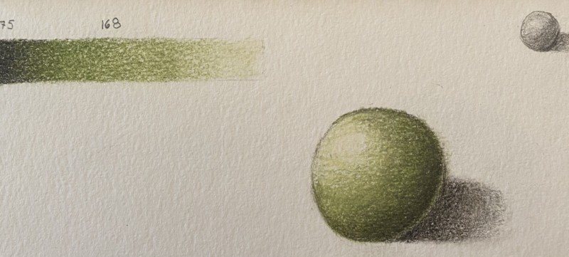 toning-w-2-colors