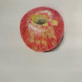 cross-contour-apple