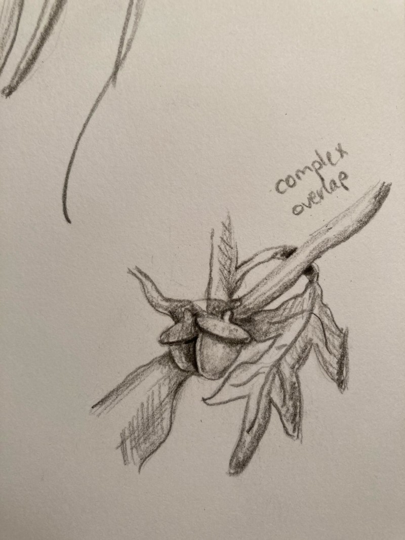 quick-sketch-overlaps