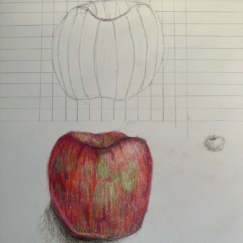 cross-contour-apple-pattern