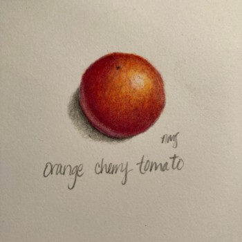 cherry-tomato-4
