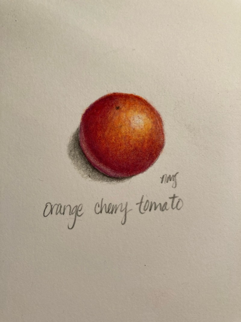 cherry-tomato-4