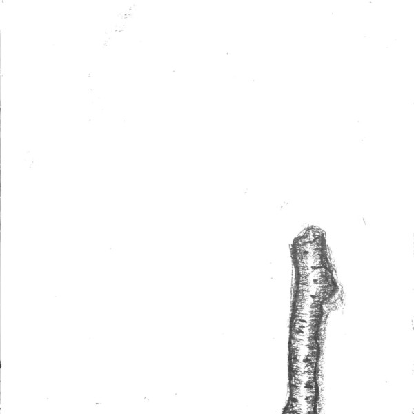 Small Branch Scan 2021-02-19 19-02