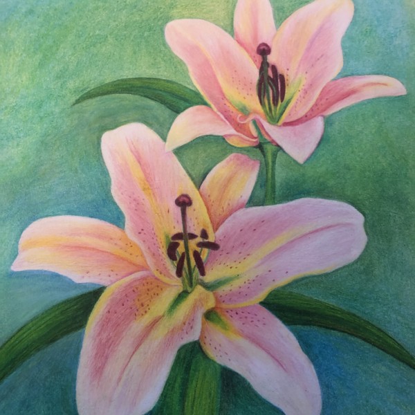 Lillies_0126