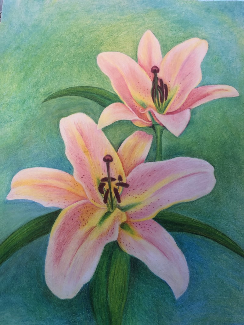 lillies_0126