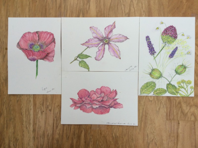 77d7ba8a-a417-431a-b9a1-c9b7c5b64ac4