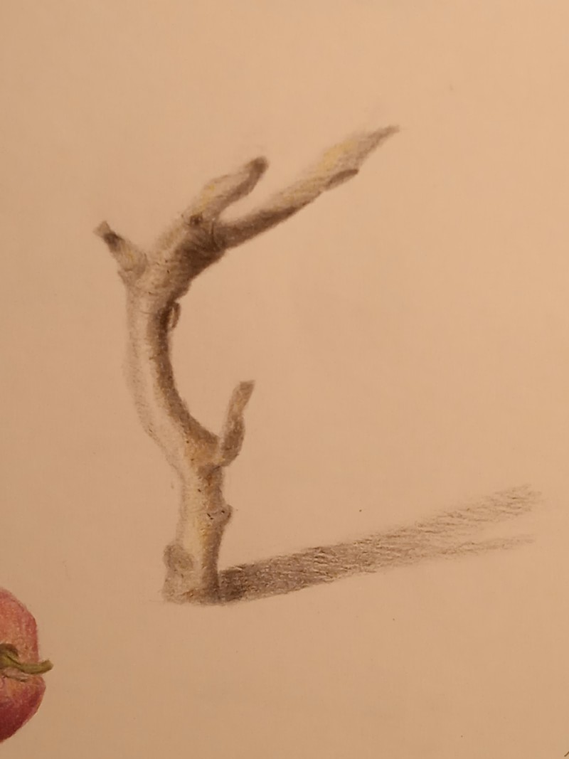 img_20210321_194931_1