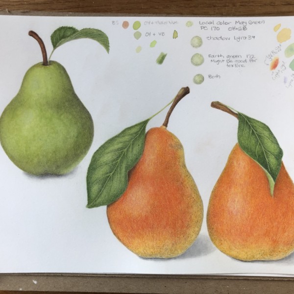 Trio of pears
