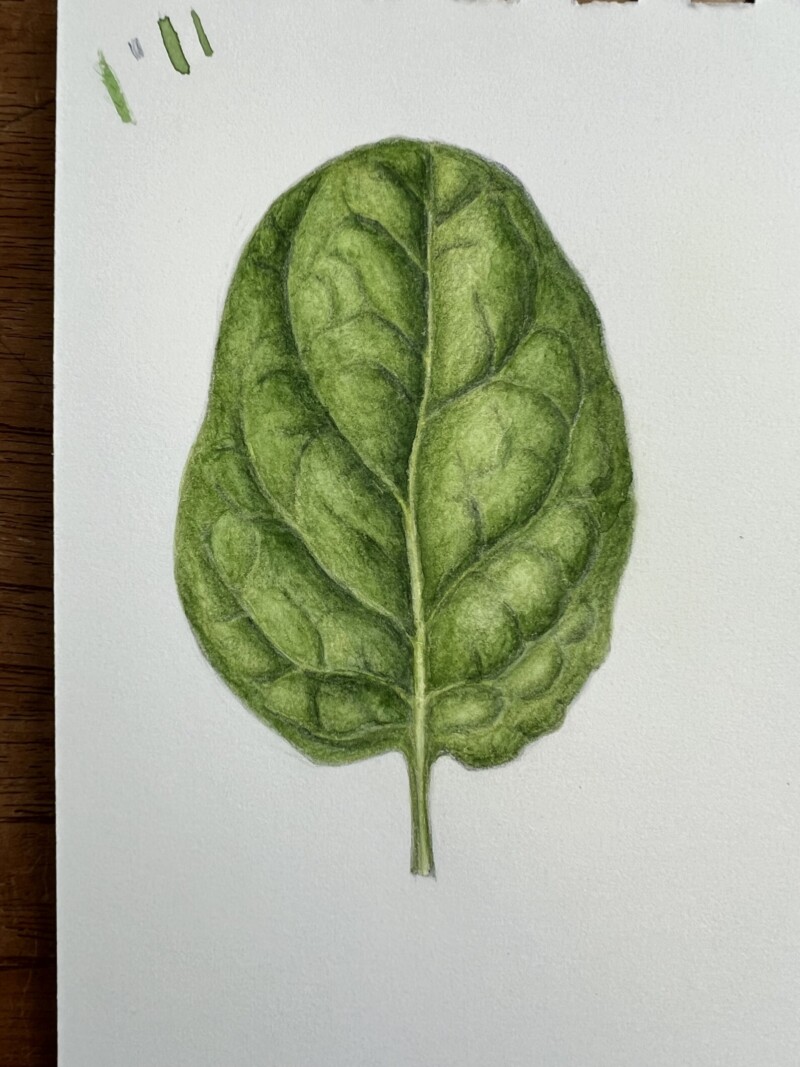 another-pillowy-leaf