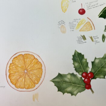 orange-and-holly