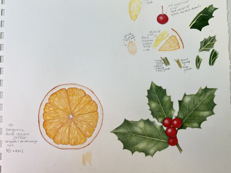 orange-and-holly