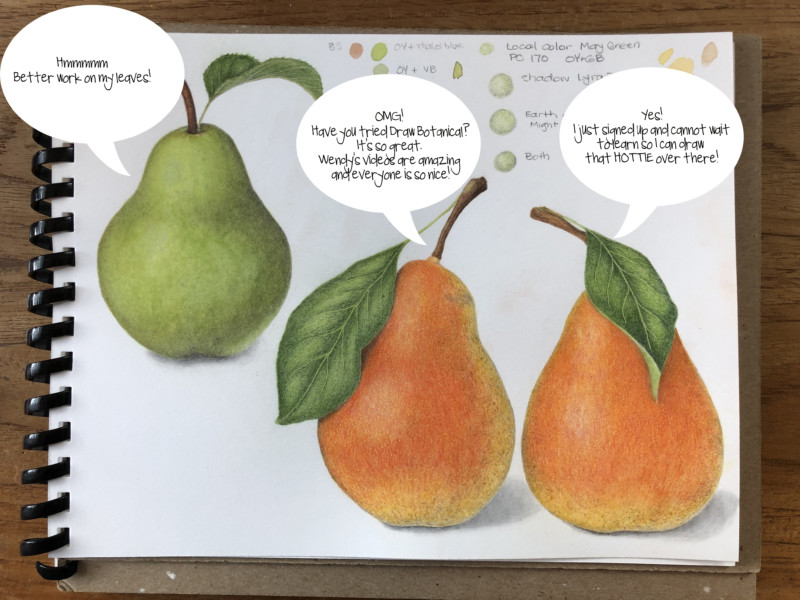 pears-2