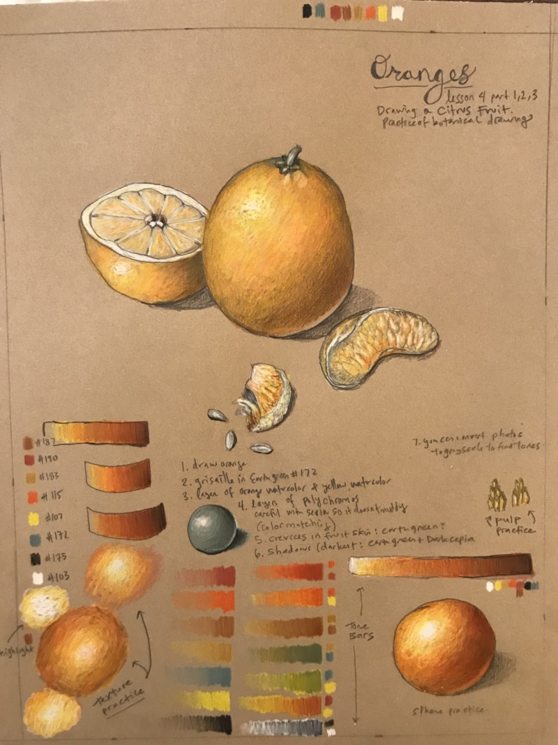 citrus-practice-lesson-4-part-1-2-on-kraft-paper