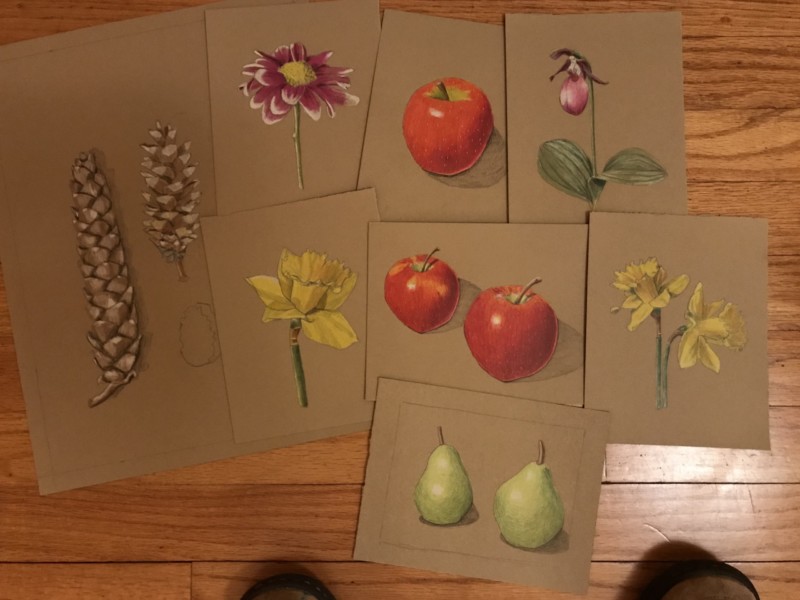 practice-drawings-on-5-1-2-x-7-kraft-paper