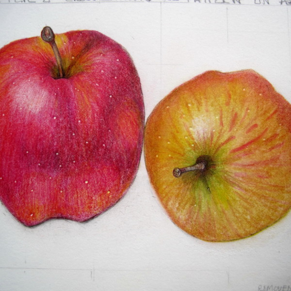 apples with cst shadow removed