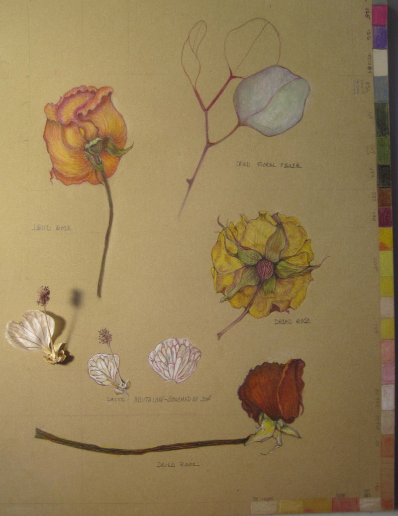 study-of-dried-flowers