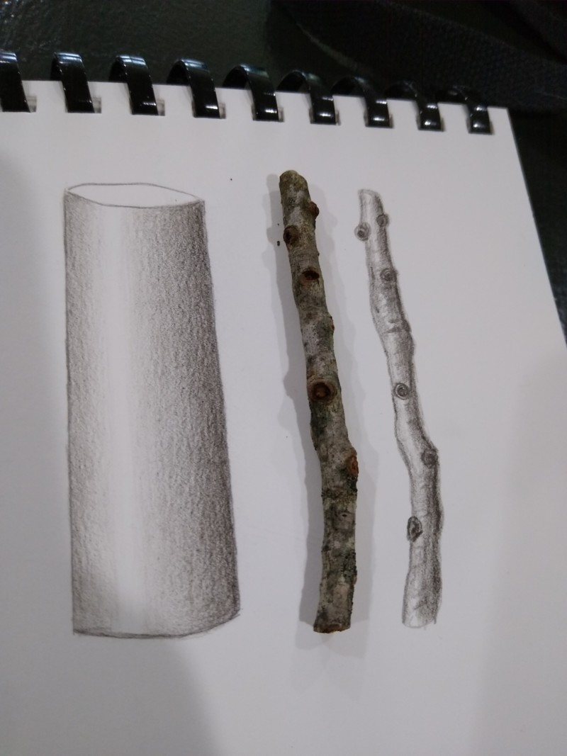 branch-study-2