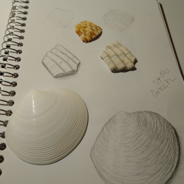 Vacation sketches
