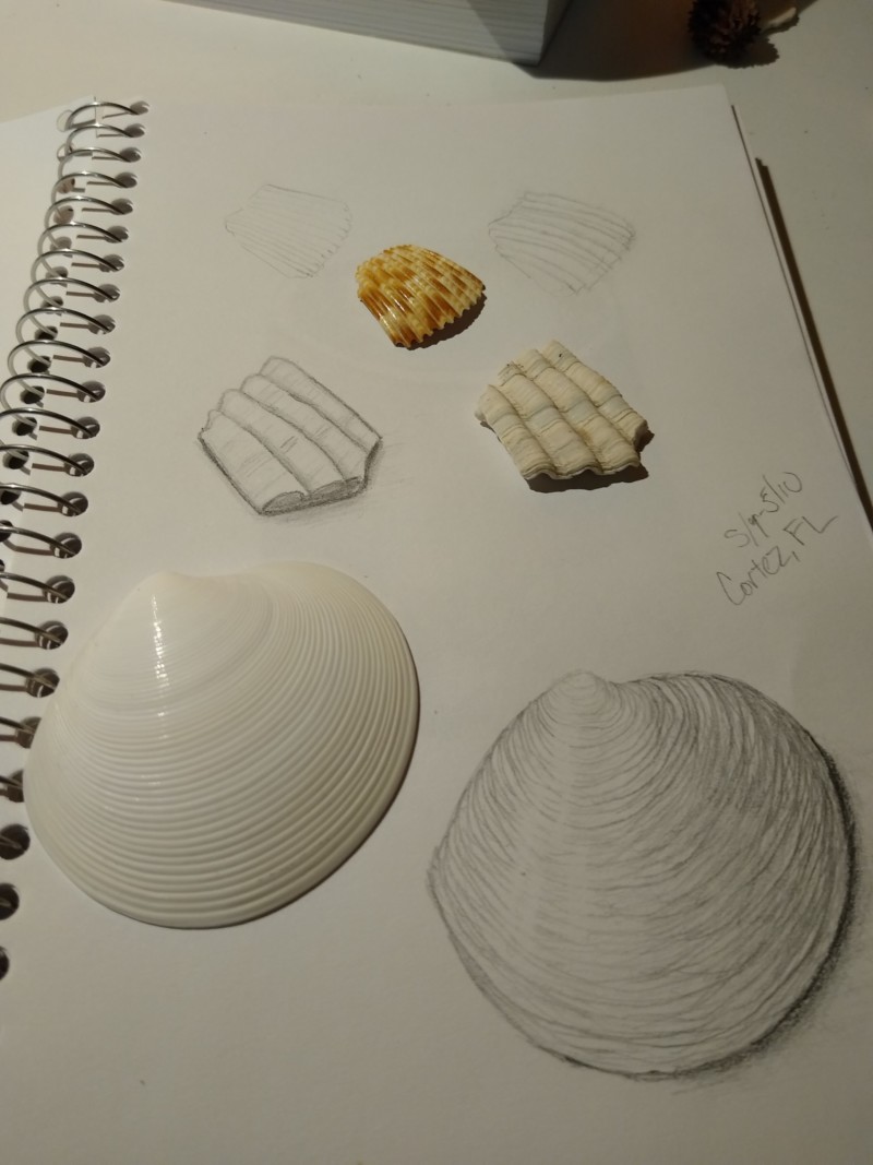 vacation-sketches
