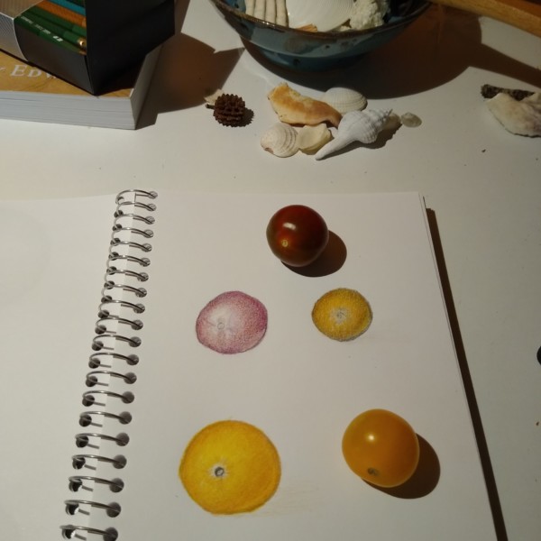 First colored pencil attempts