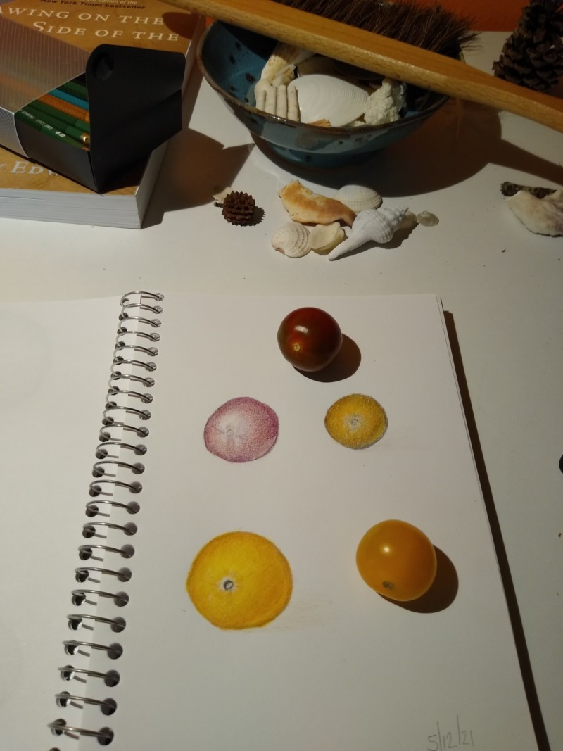 first-colored-pencil-attempts