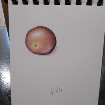 todays-tomato