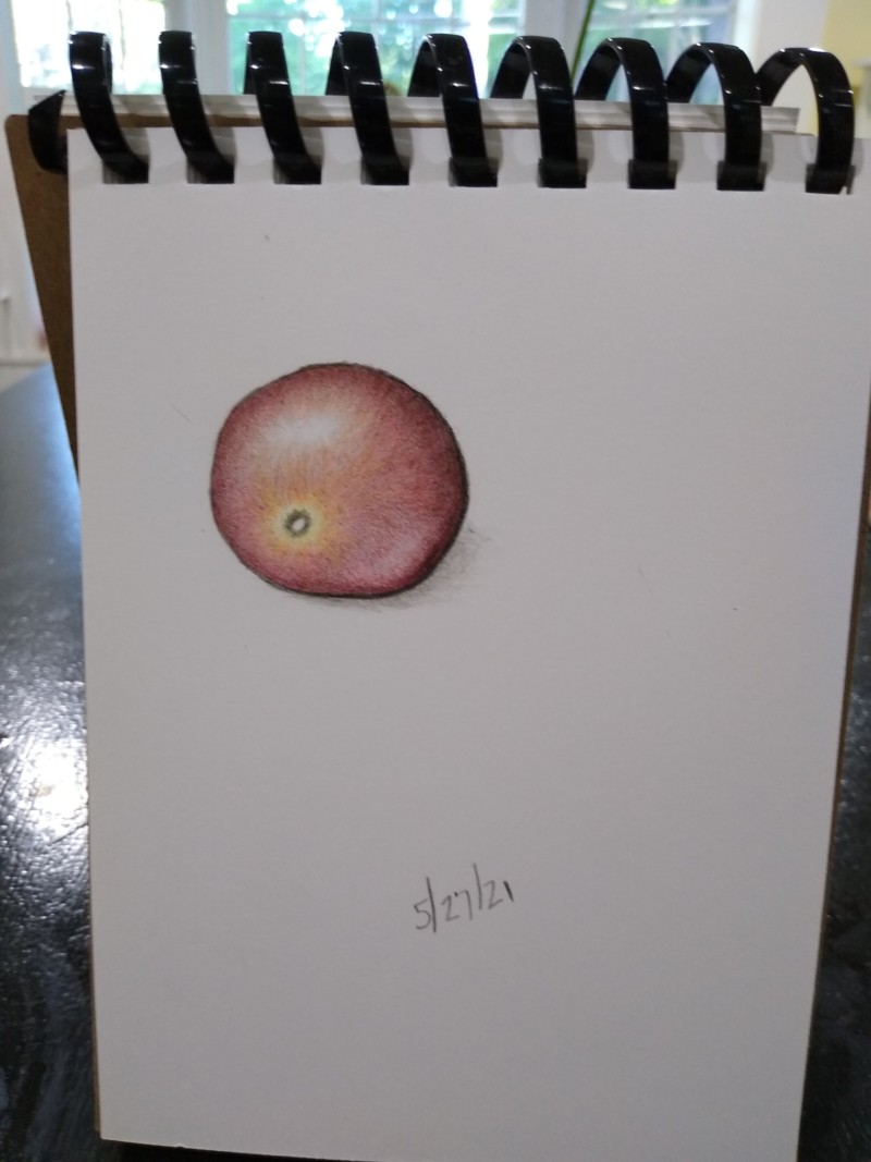 todays-tomato