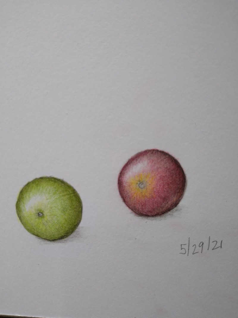 tomatoes-2-0