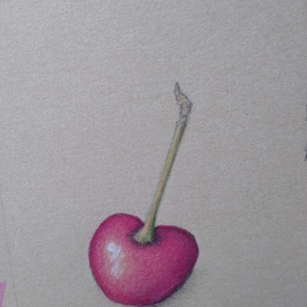 Single Cherry study 