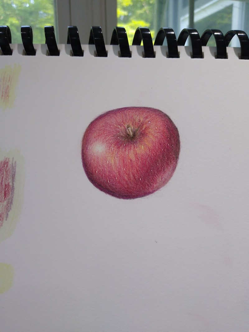 apple-study