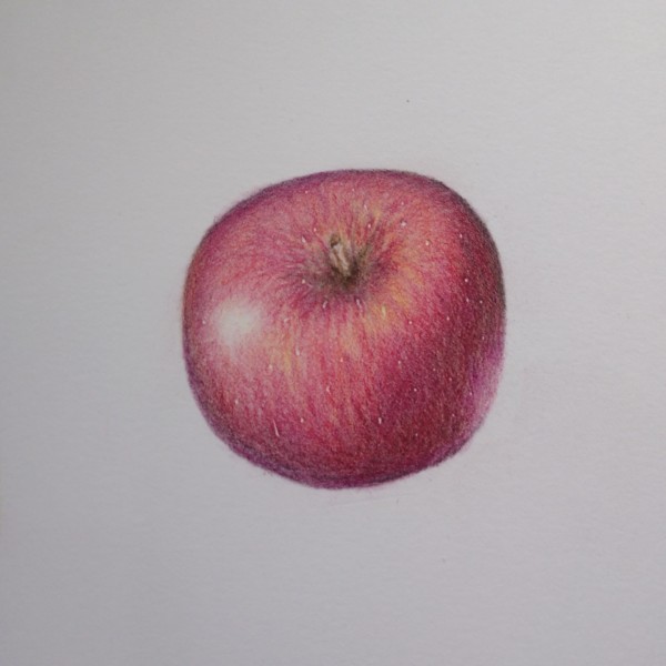 Apple study 2.0