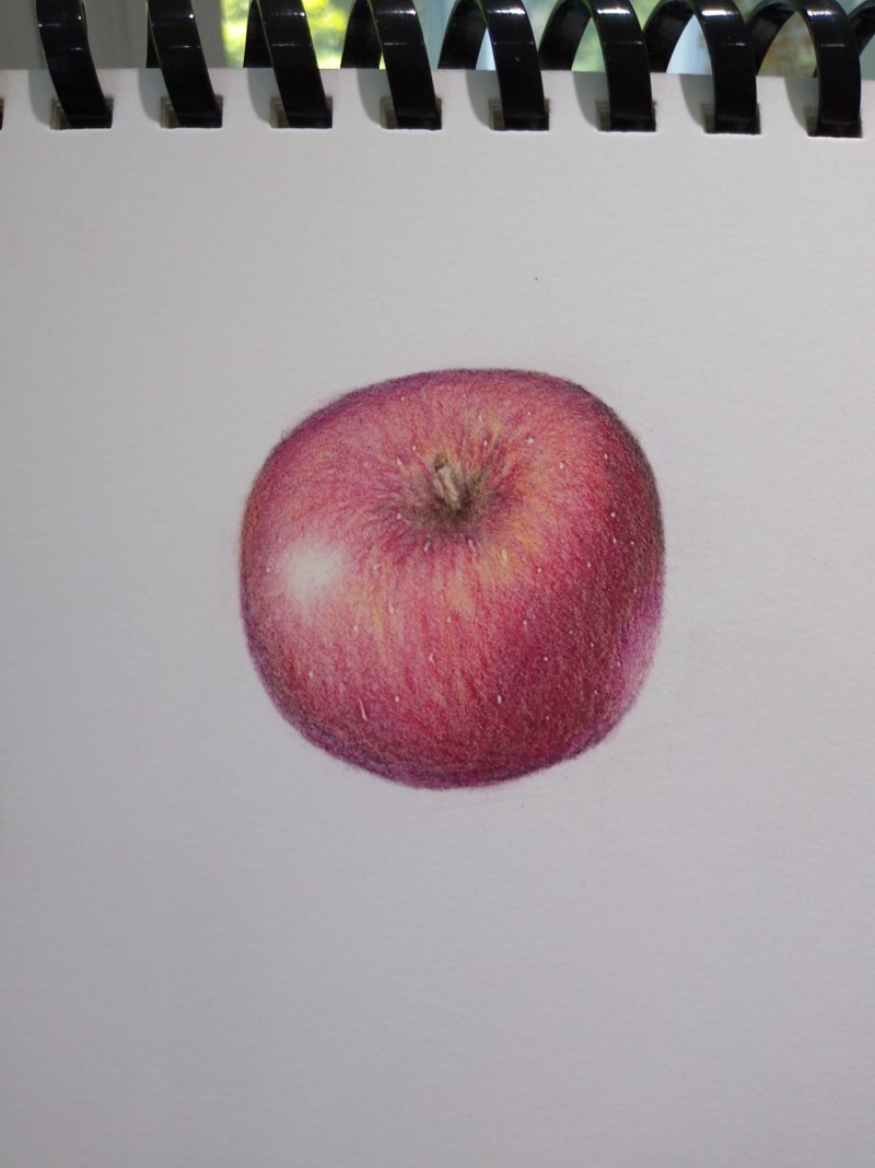 apple-study-2-0