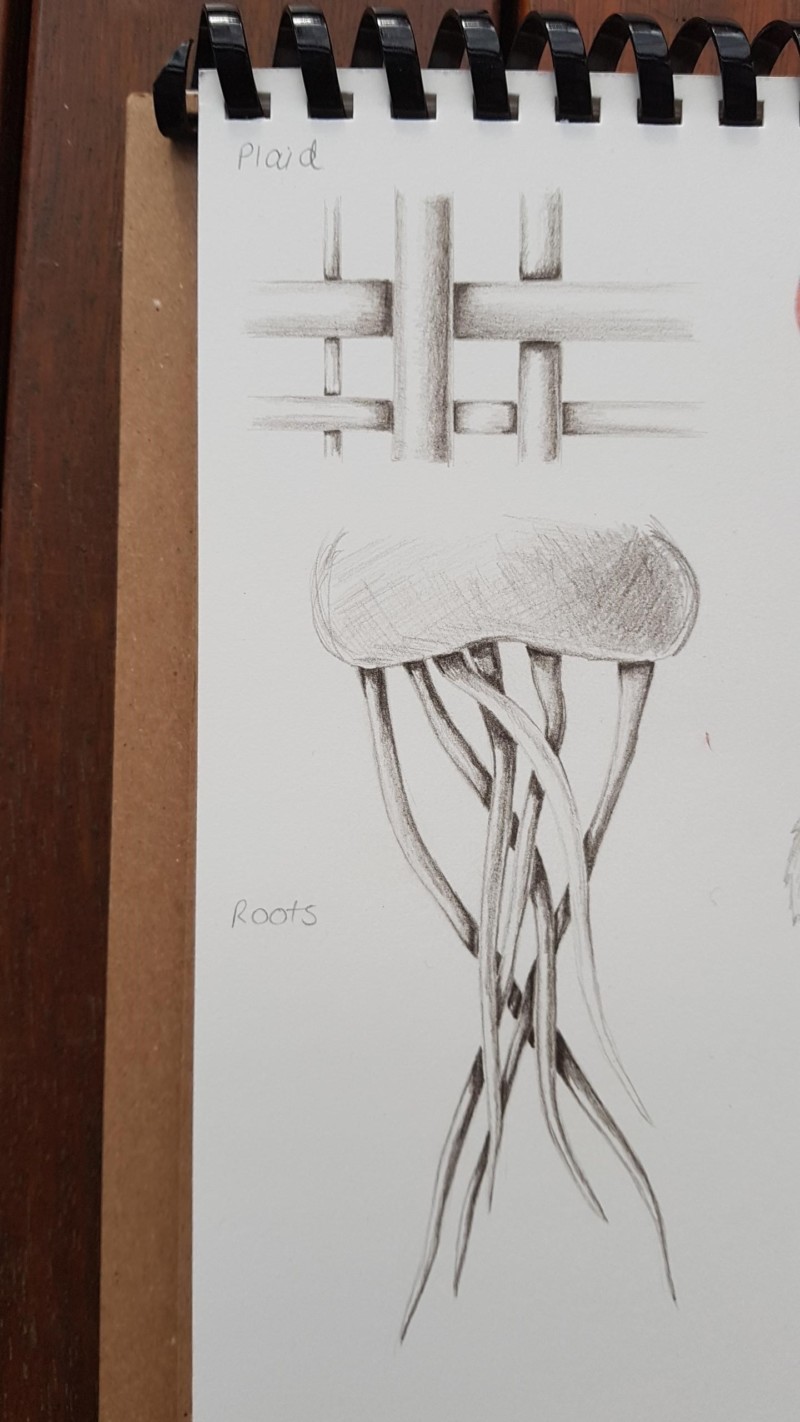 drawbotanicaljune2021