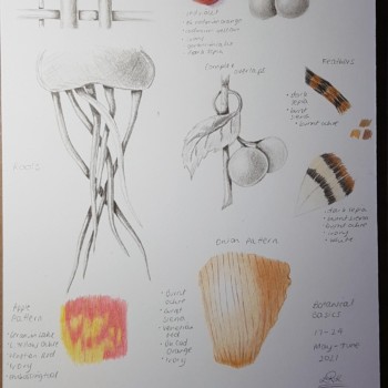 drawbotanicaljune2021_3