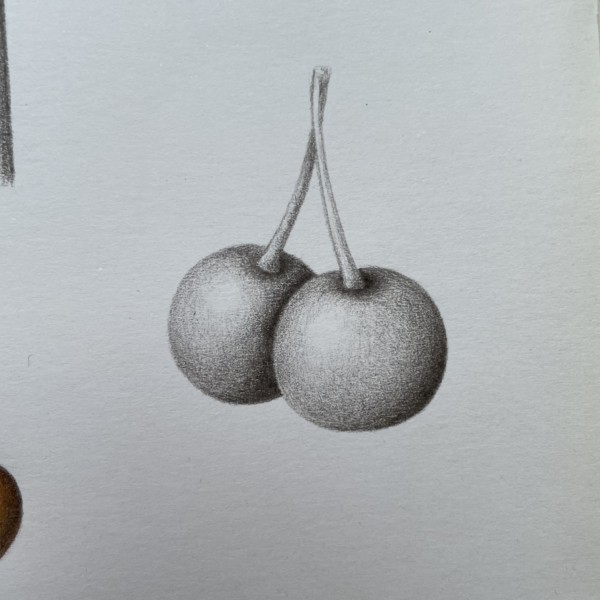 Small fruits 2