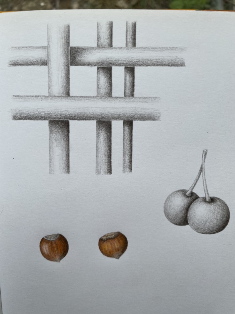 plaid-cherries-and-hazelnuts-2