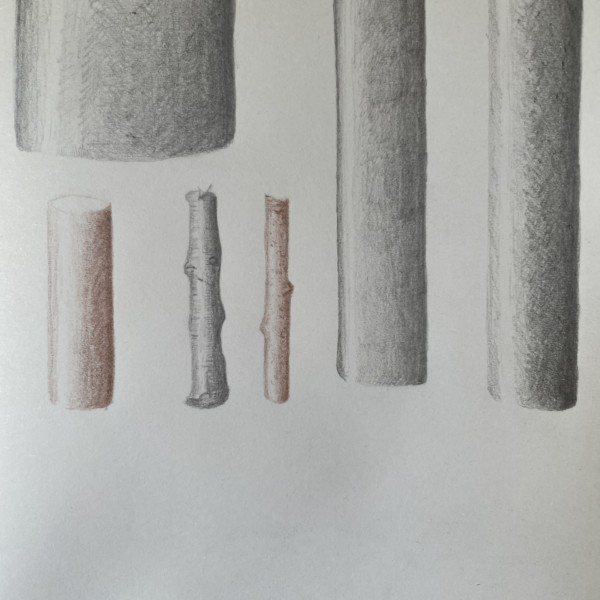 Cylinders & branches - Random paper and pencils