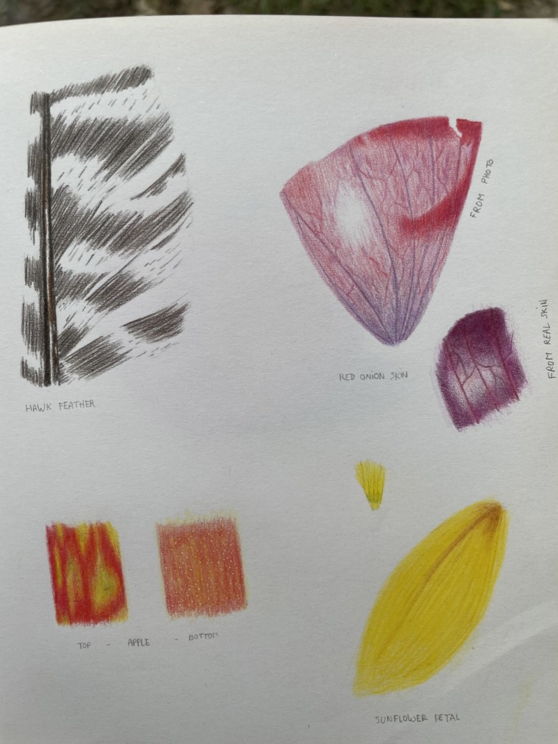 lessons-22-to-25-patterns-v2