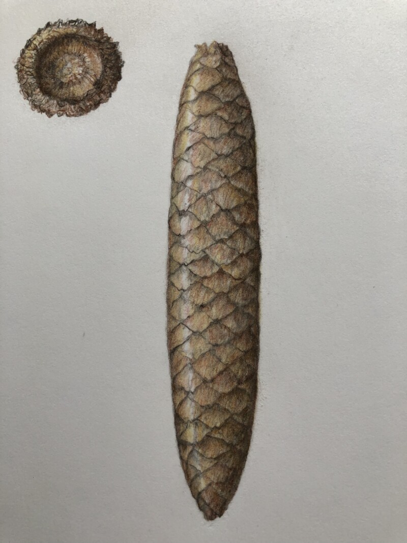 55221a3c-7293-43e2-8dee-7076ed6aaa80