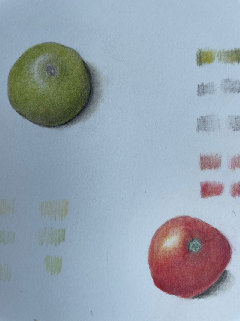 drawing-a-cherry-tomato-in-color-2