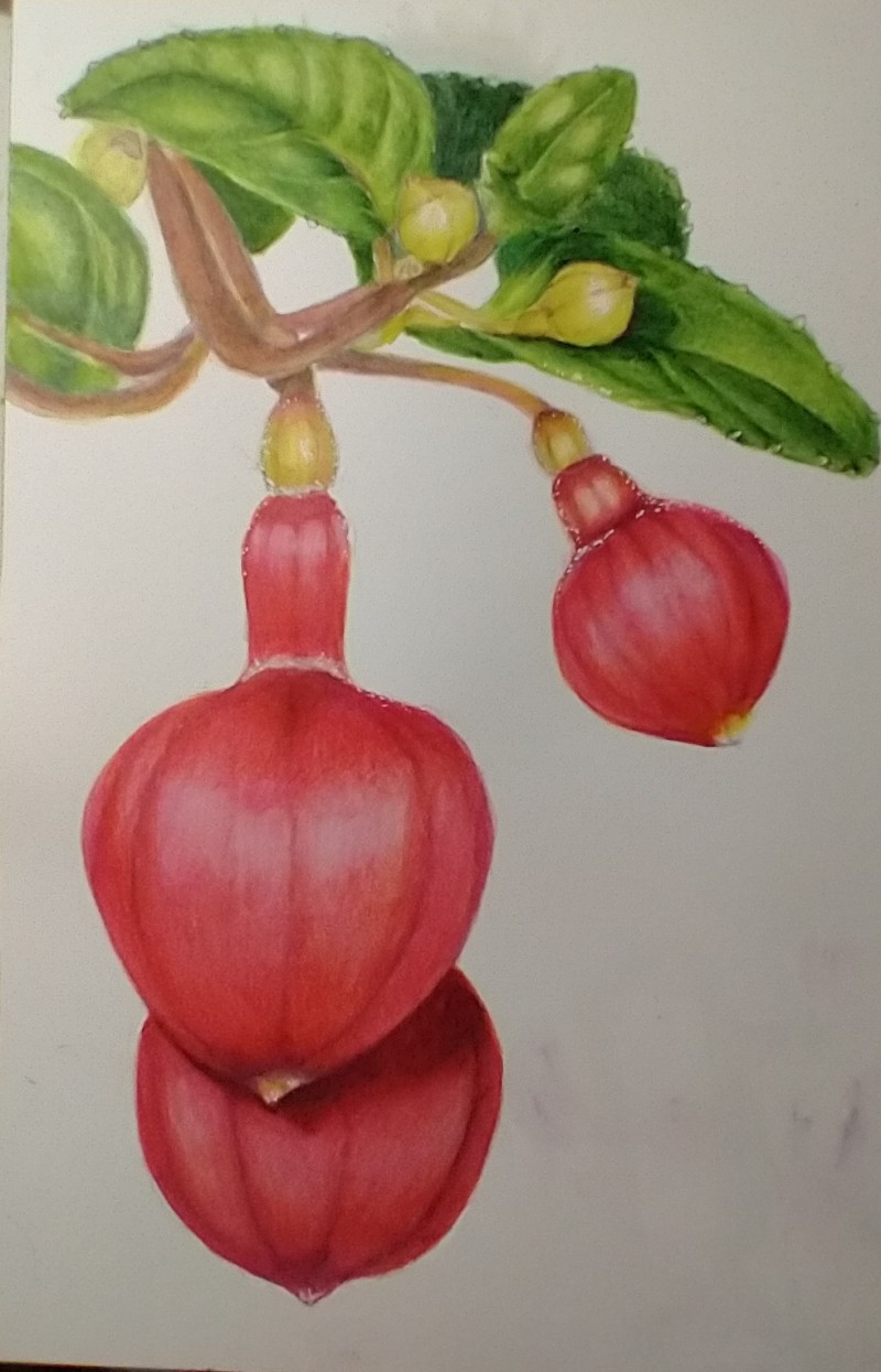 img_20220111_112124324