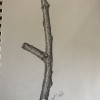 img-1713-2