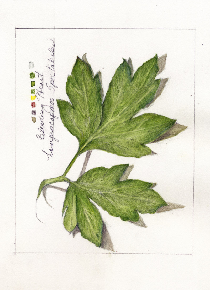 leaves-1-2021