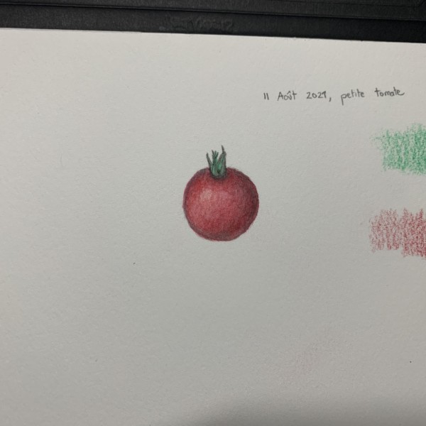 2021.08.11 First drawing small tomato
