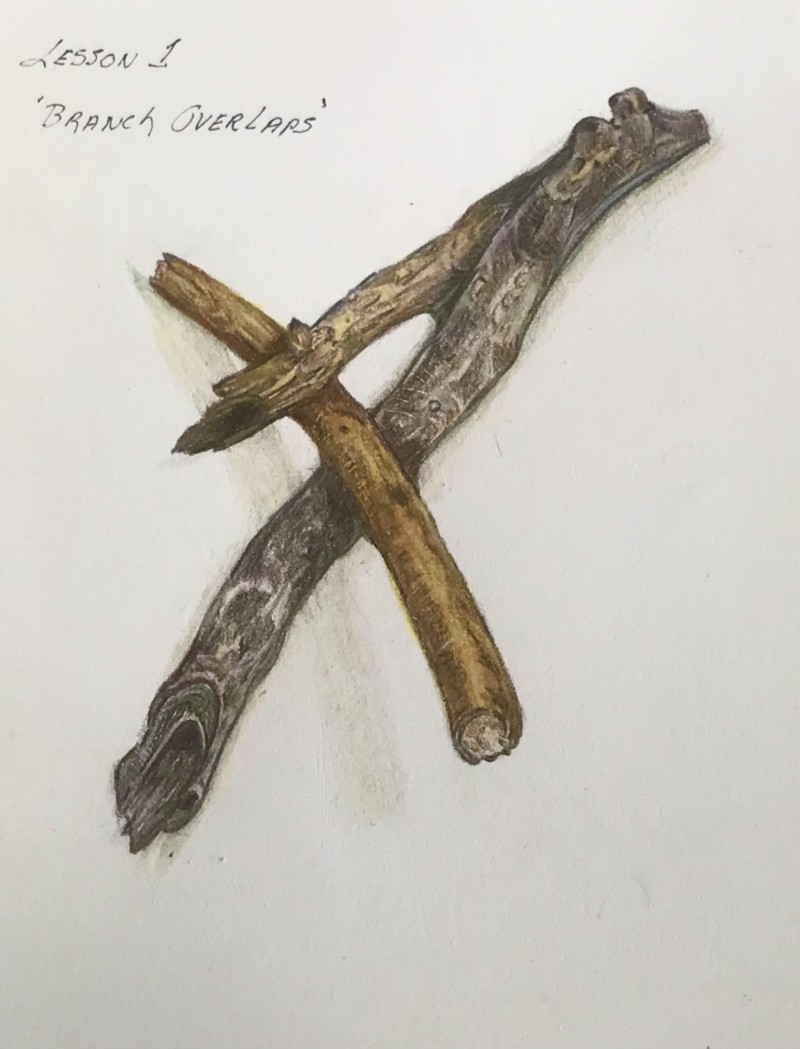 lesson-1branch-overlaps-v1-incorporating-some-of-the-suggestions-to-improve