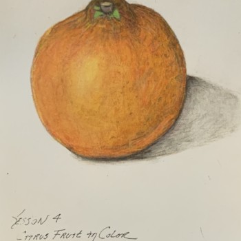 lesson-4-citrus-fruit-in-color-v1-w-suggestions-for-improvement