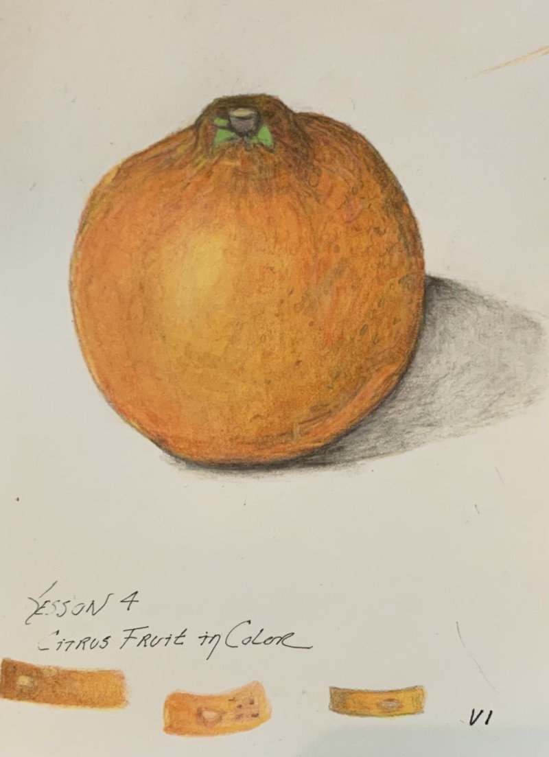 lesson-4-citrus-fruit-in-color-v1-w-suggestions-for-improvement